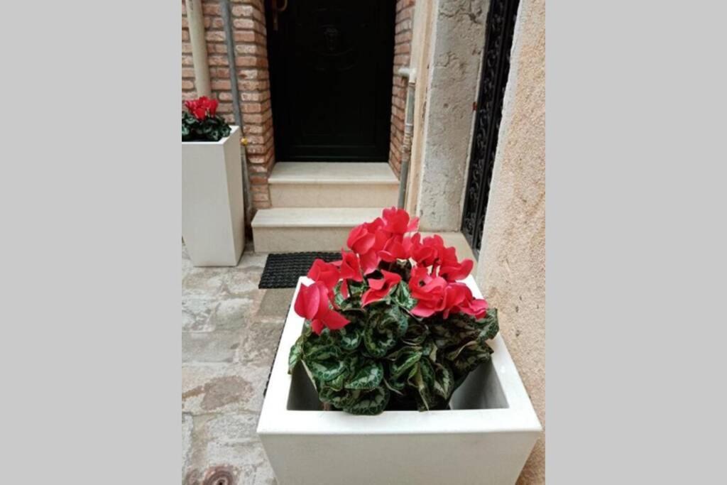 Ca Cici Venice Loft Apartment Экстерьер фото